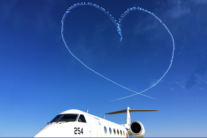 ブルーインパルス